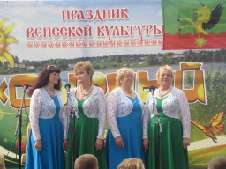 «Сырный день» «Сырный день»