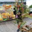 Сырный день - 2017