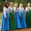 &laquo;Праздник деревни&raquo;